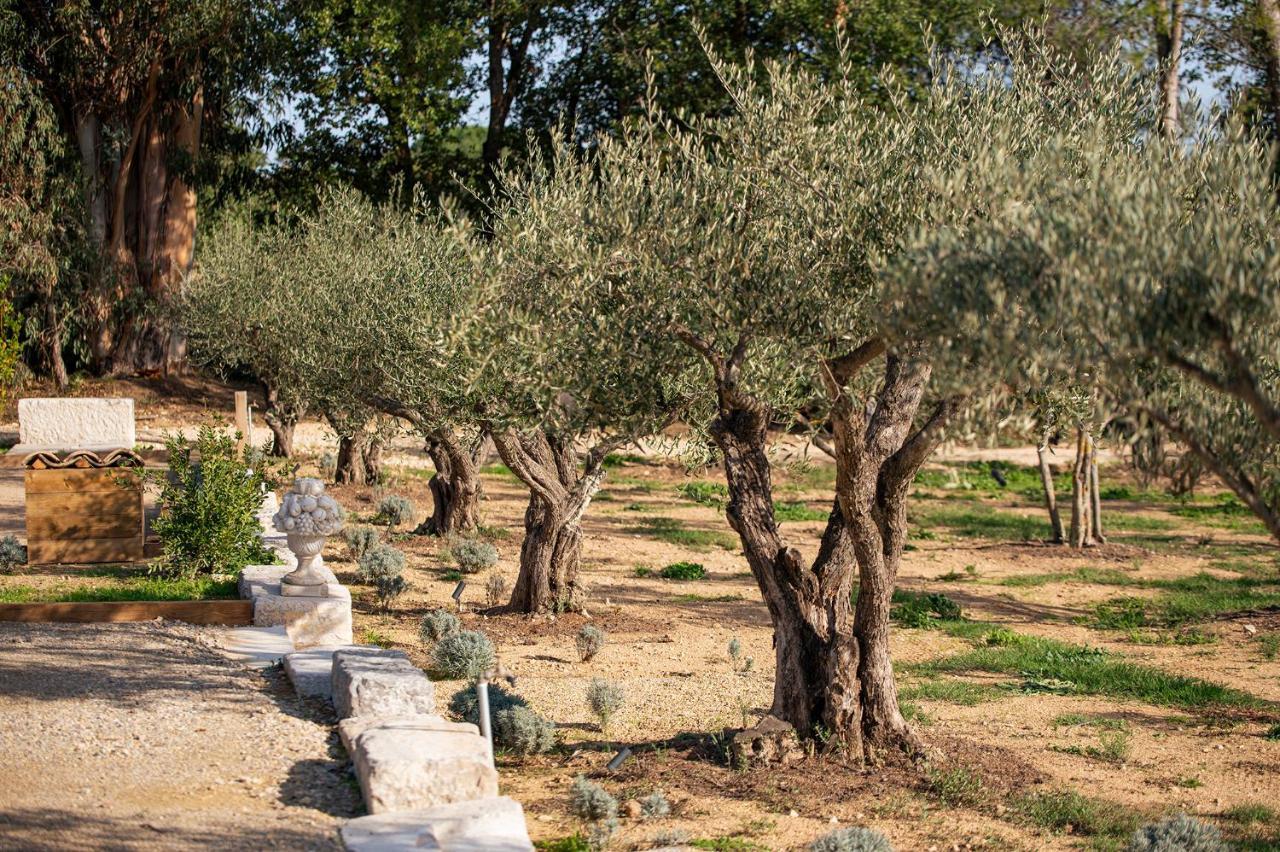 Bed & Breakfast Le Clos De Mansart Grimaud