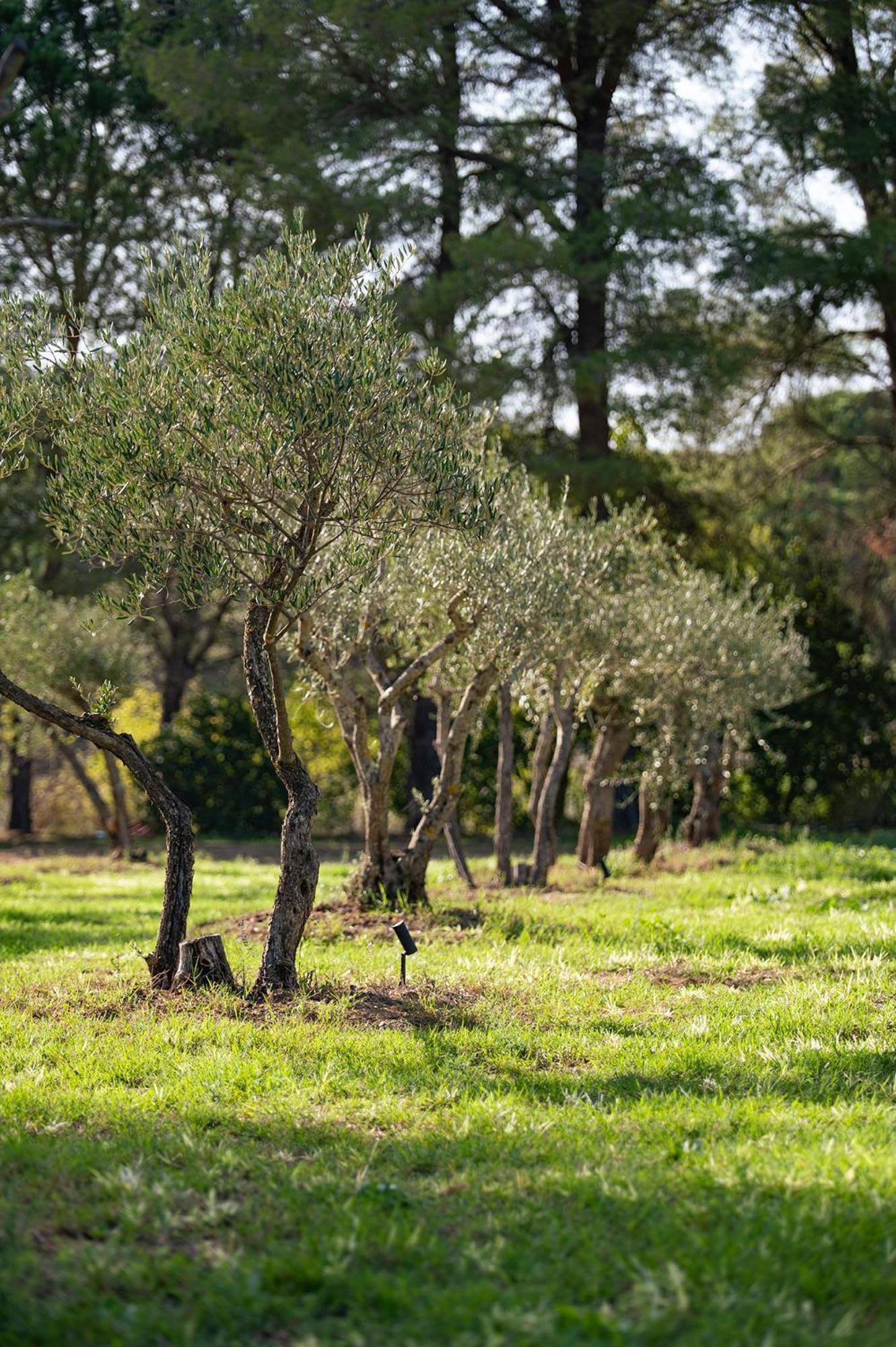 Le Clos De Mansart Grimaud